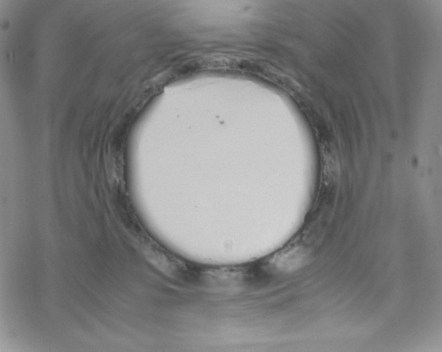 X0000069390331200606091723