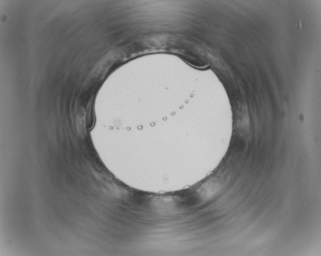 X0000069390332200606091723