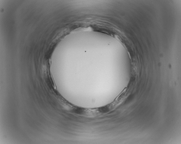 X0000069390333200606091723