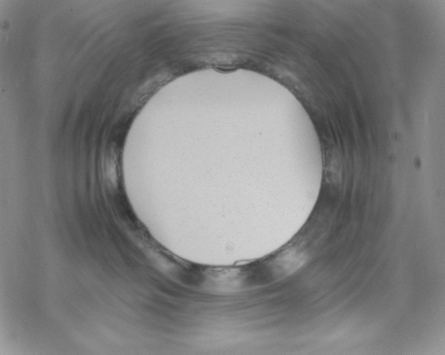 X0000069390334200606091723