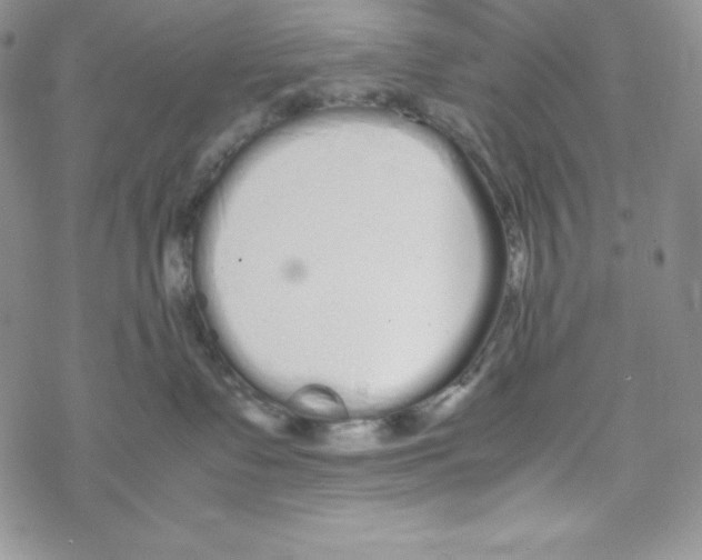 X0000069390335200606091723