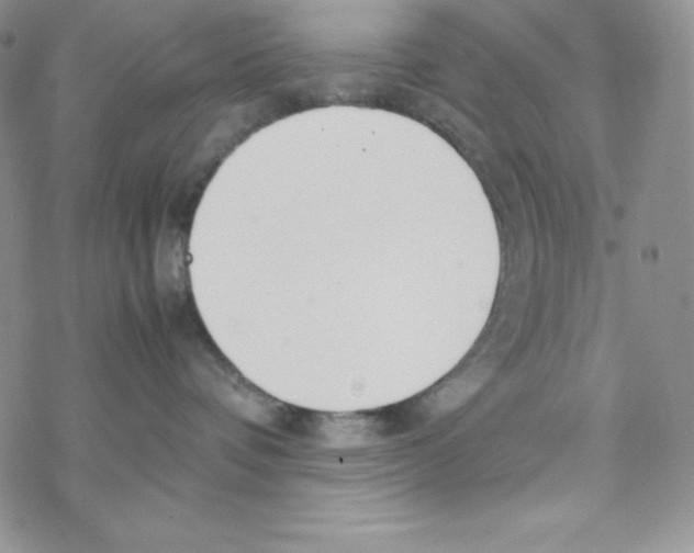 X0000069390336200606091723