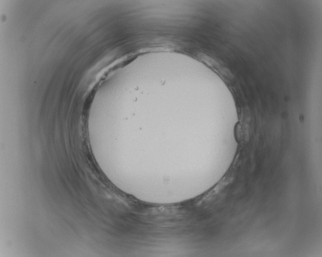 X0000069390338200606091722