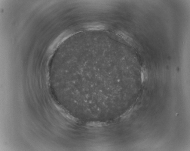 X0000069390339200606091722