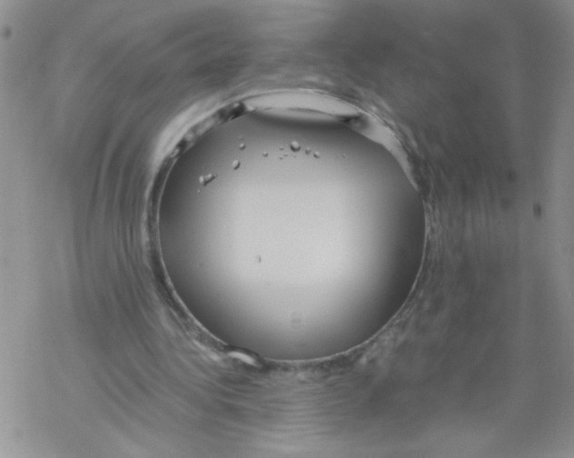 X0000069390340200606091722