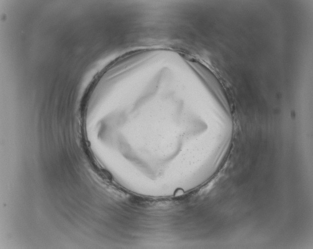 X0000069390342200606091722