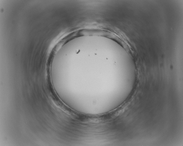 X0000069390344200606091722