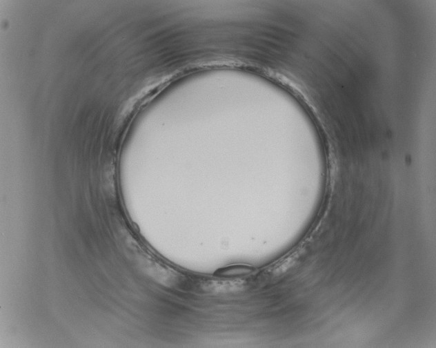 X0000069390345200606091722