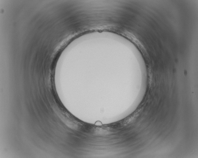 X0000069390346200606091722