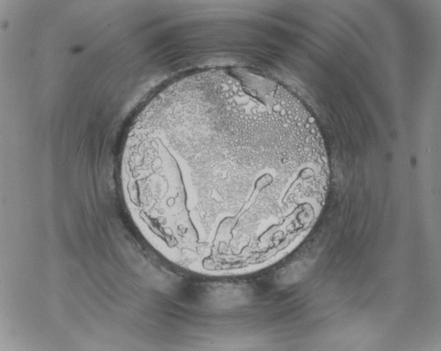 X0000069390347200606091722