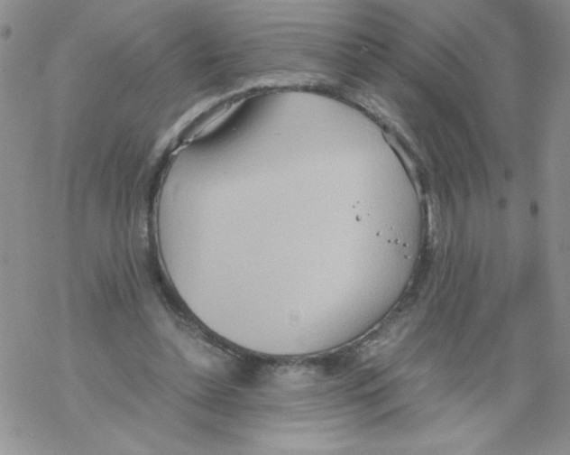 X0000069390348200606091722