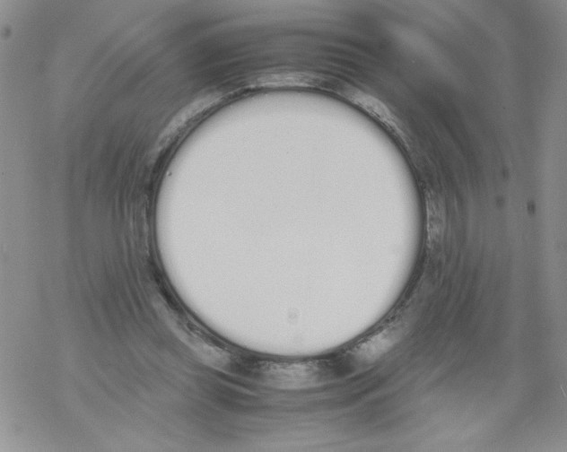 X0000069390349200606091722