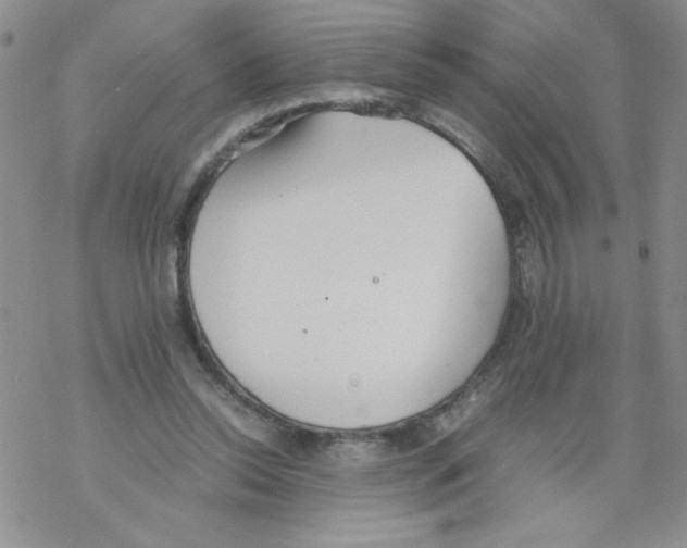 X0000069390350200606091722