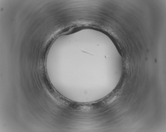 X0000069390352200606091722