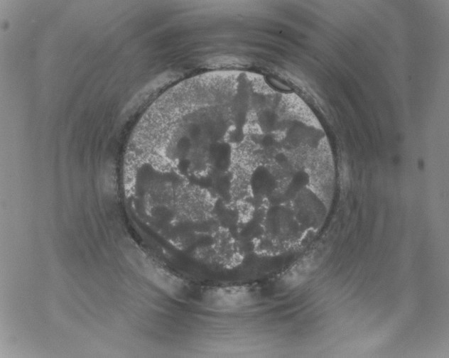 X0000069390353200606091722