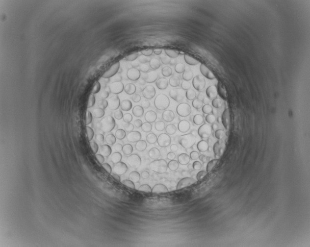 X0000069390354200606091722