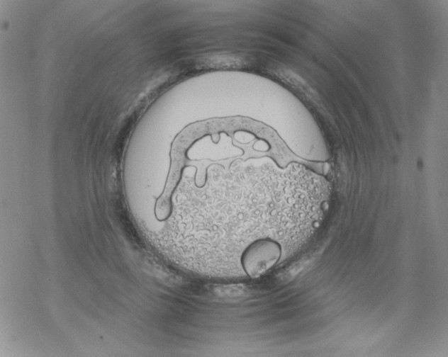 X0000069390355200606091722