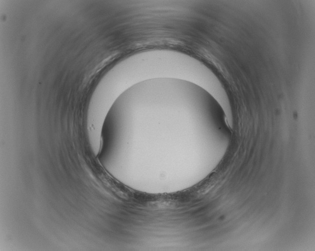 X0000069390356200606091722