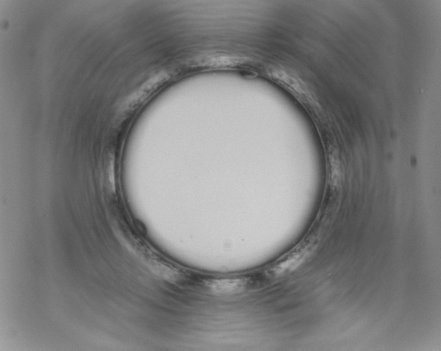 X0000069390358200606091722