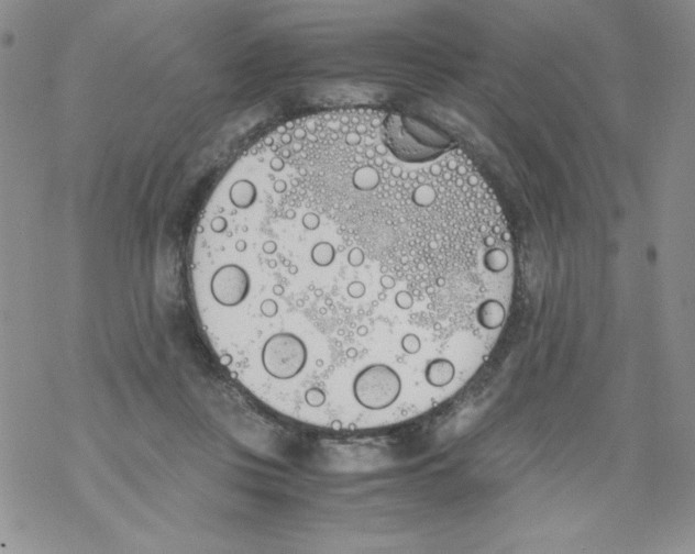 X0000069390359200606091722