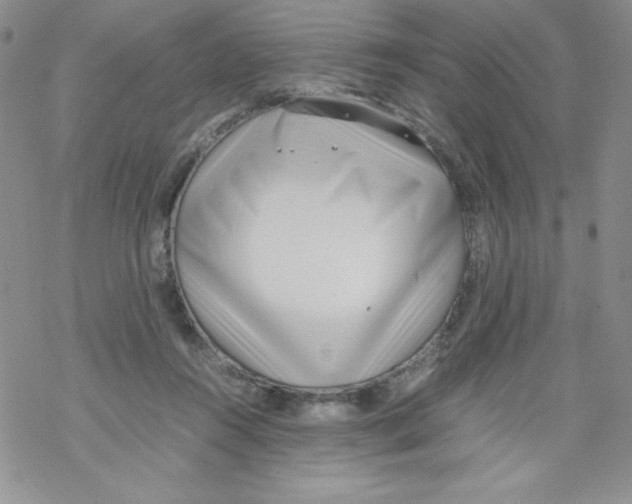 X0000069390360200606091722