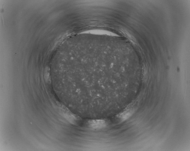 X0000069390361200606091722