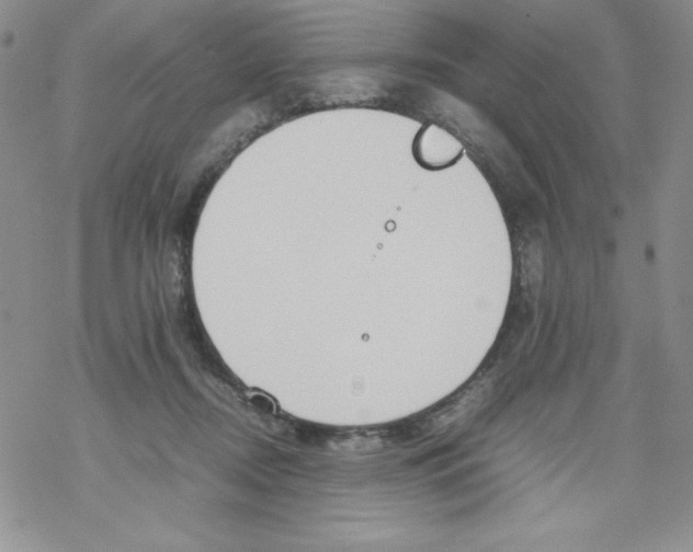 X0000069390362200606091722