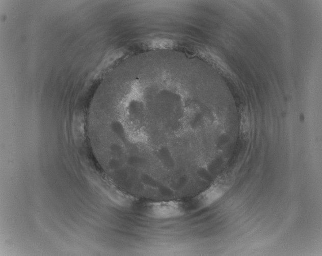 X0000069390363200606091722