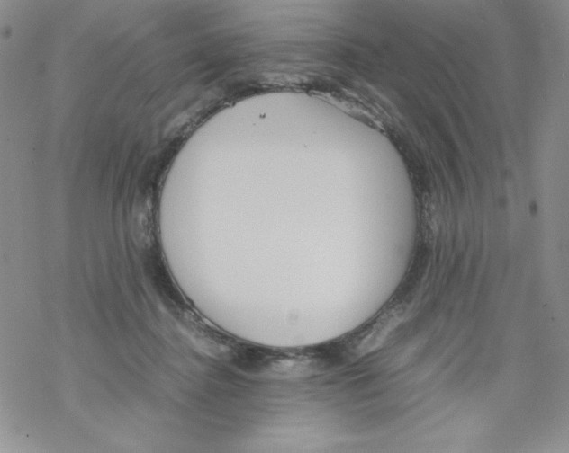 X0000069390364200606091722