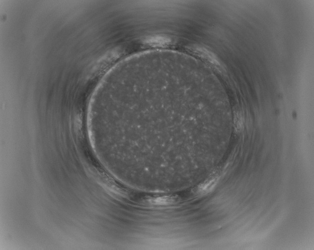 X0000069390365200606091722