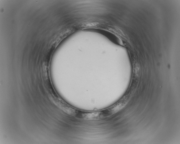 X0000069390366200606091722