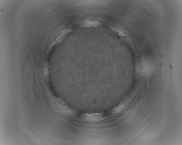 X0000069390367200606091722