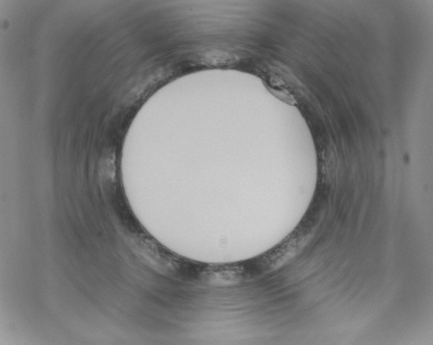 X0000069390368200606091722