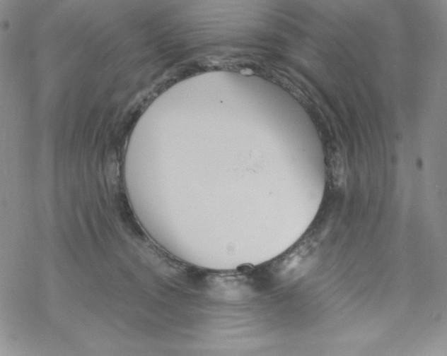 X0000069390372200606091722