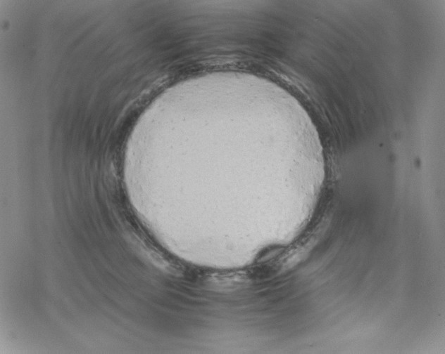 X0000069390373200606091722