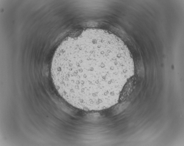 X0000069390374200606091722