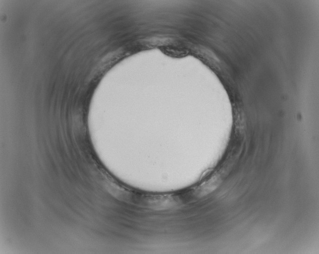 X0000069390377200606091723