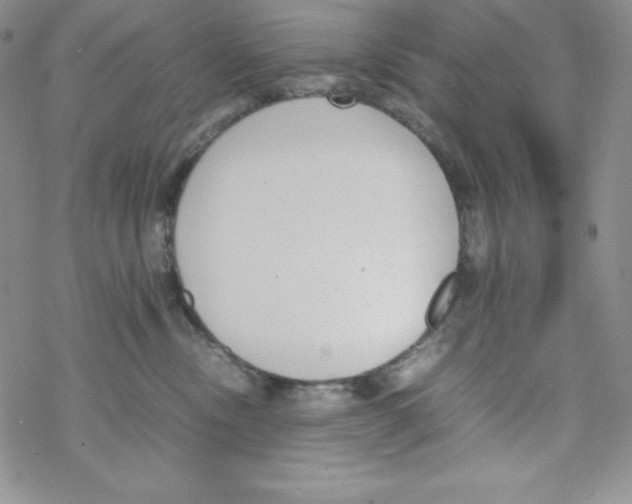 X0000069390378200606091723