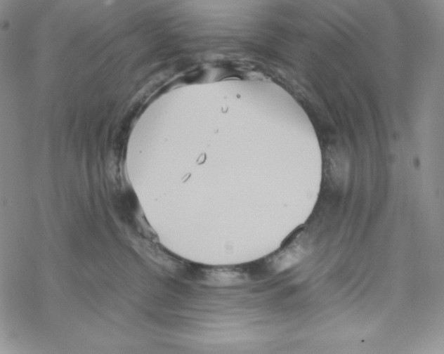 X0000069390380200606091723