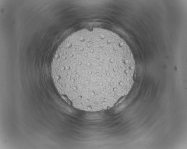 X0000069390381200606091723