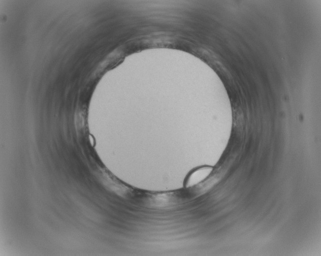 X0000069390382200606091723