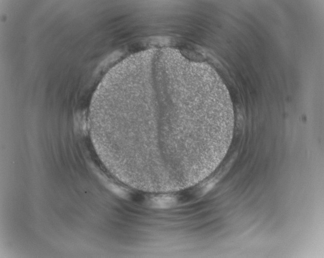 X0000069390383200606091723