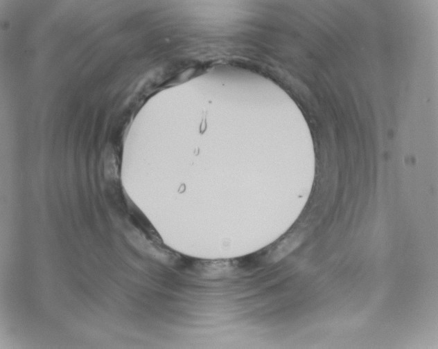 X0000069390384200606091723