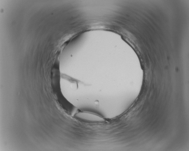 X0000069390385200606091722