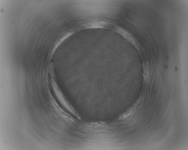 X0000069390386200606091722