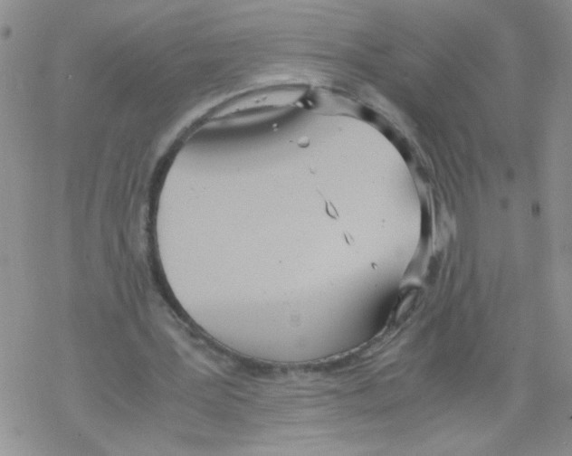 X0000069390387200606091722