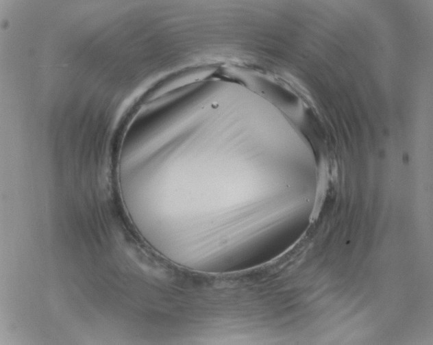 X0000069390388200606091722