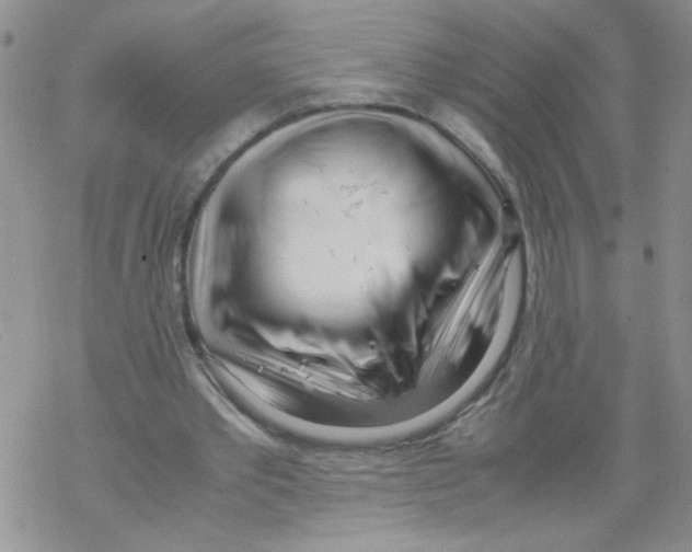 X0000069390389200606091722