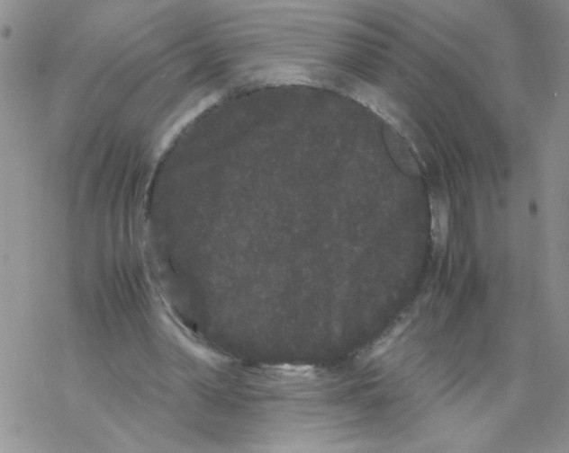 X0000069390390200606091722