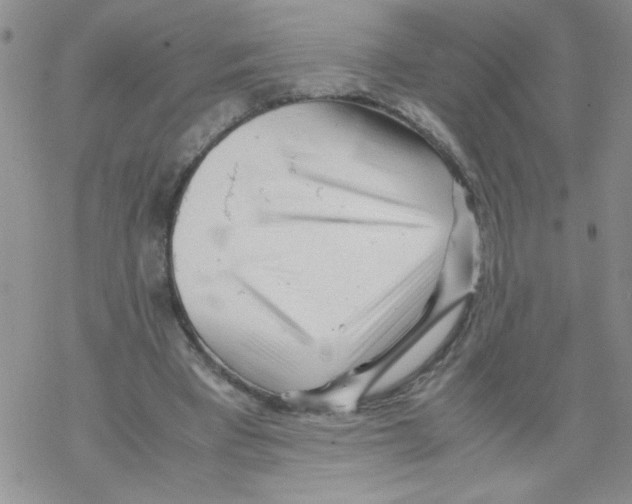 X0000069390393200606091722